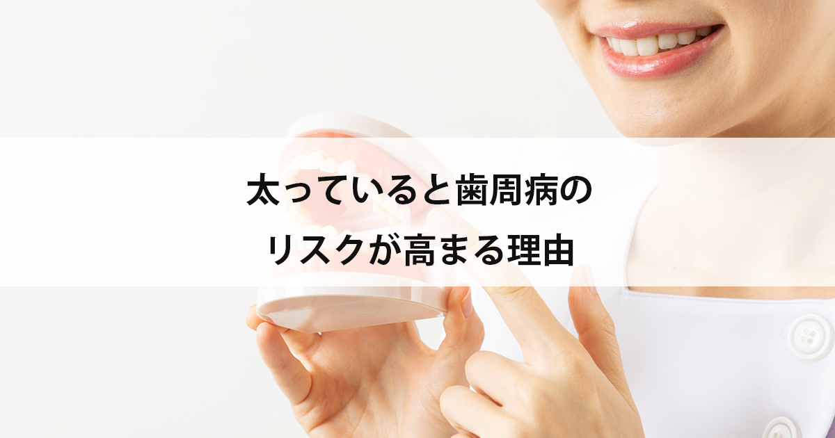 【新潟市中央区新潟駅の歯医者で歯周病治療】太っていると歯周病のリスクが高まる理由