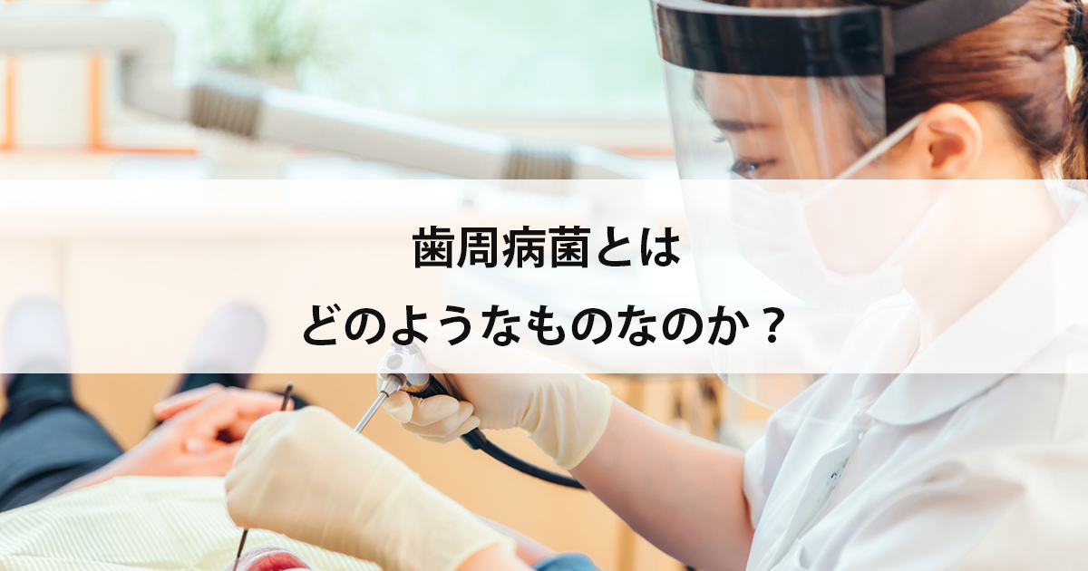 【新潟市中央区新潟駅の歯医者で歯周病治療】歯周病菌とはどのようなものなのか?