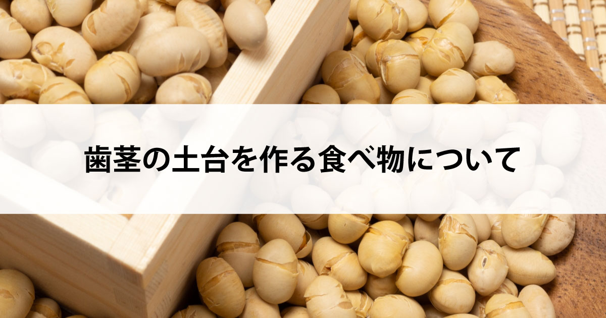【新潟市中央区新潟駅の歯医者で歯周病治療】歯茎の土台を作る食べ物について